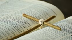 全网劝退律师为何还有人往里冲？
