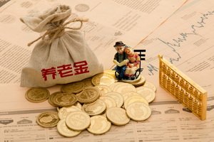 广东星文文化传播有限公司诉徐日升发行权纠纷案